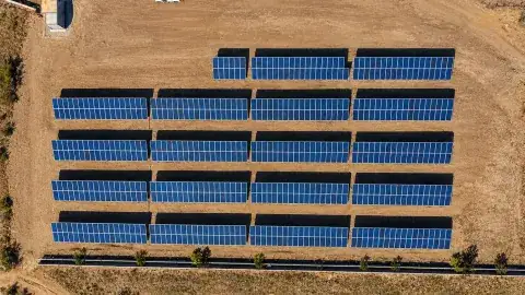 Paneles solares montados en suelo en un proyecto de Active Energy para Bachoco en Betulia, Jalisco